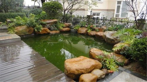 鱼池假山设计图,庭院鱼池假山设计,广通园林