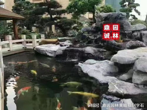 一款可以让你静静观看,暂时卸下心情观赏的石头 太湖石