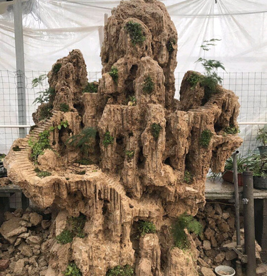 直击:假山盆景的制作过程,你喜欢这种盆景吗?