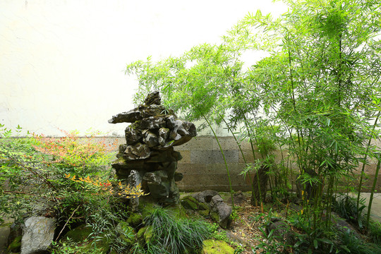 庭院中的竹子假山 自然与艺术的完美融合